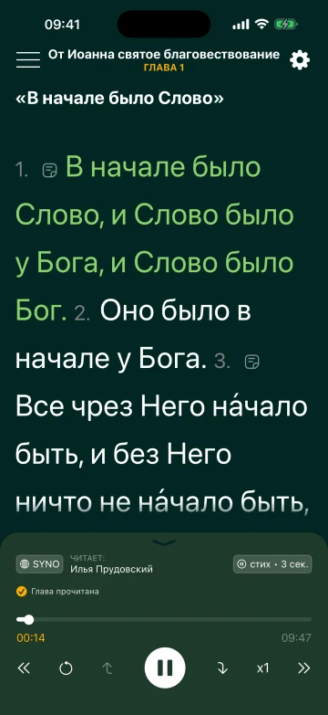 Обычное чтение с размером текста Библии 300 %