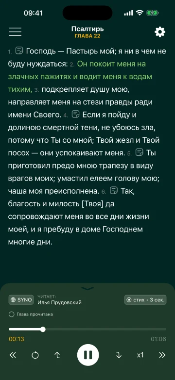 Псалом в режиме «Обычное чтение» с аудиоплеером