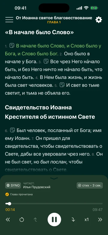 Иоанна 1 в Синодальном переводе, читает Илья Прудовский
