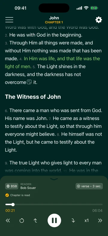 John 1 in Classic Reading with audio controls