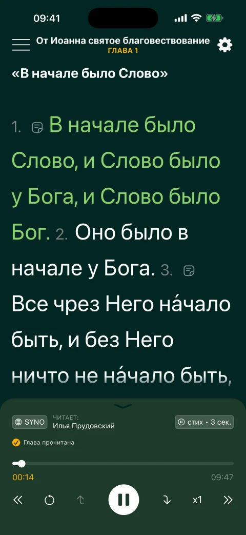 Обычное чтение с размером текста Библии 300 %