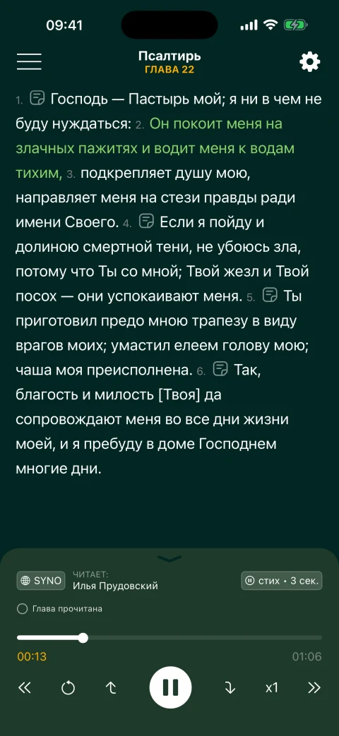Псалом в режиме «Обычное чтение» с аудиоплеером