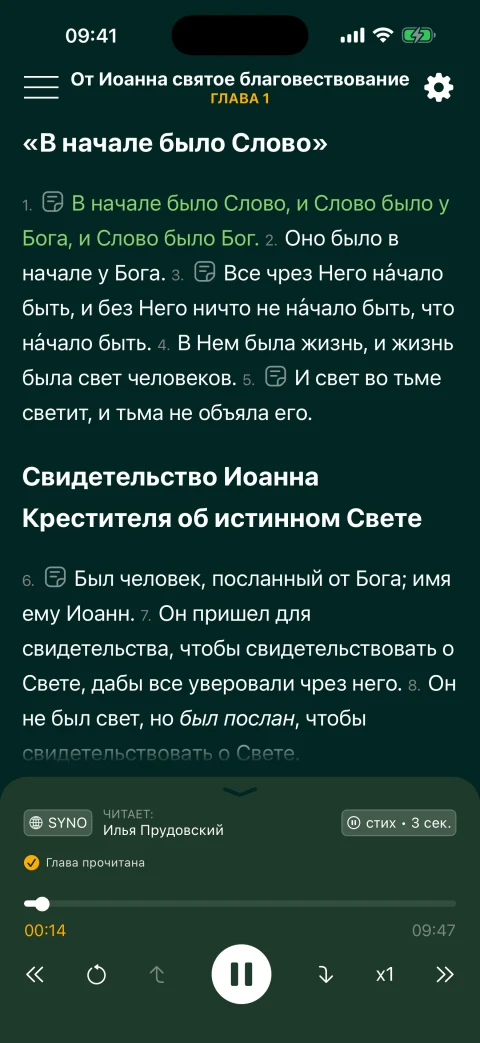 Иоанна 1 в Синодальном переводе, читает Илья Прудовский